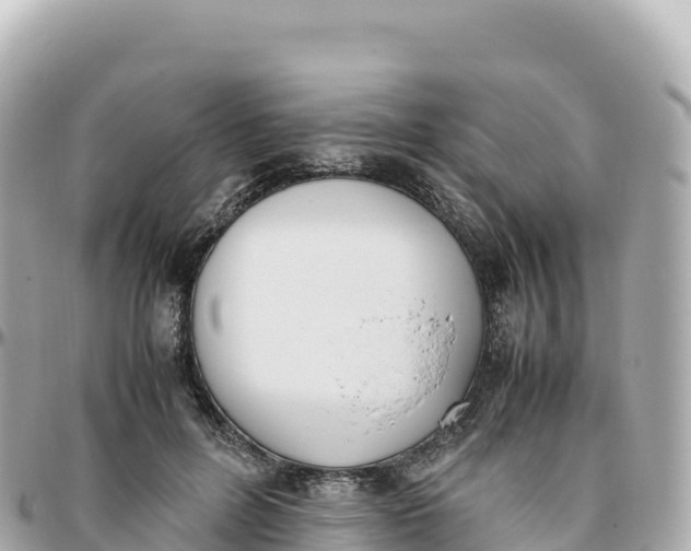 X0000095890600200801251204