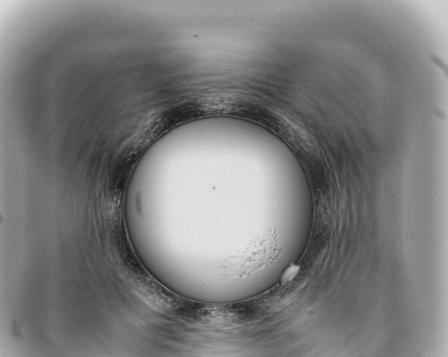 X0000095890601200801251204