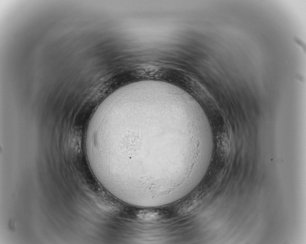 X0000095890602200801251204