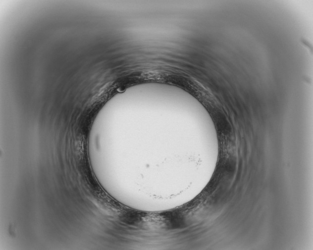 X0000095890603200801251204