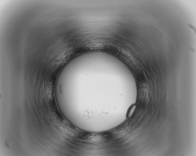 X0000095890604200801251204