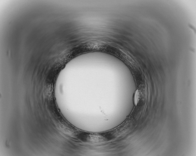 X0000095890605200801251204