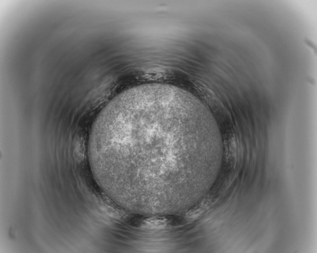 X0000095890606200801251204