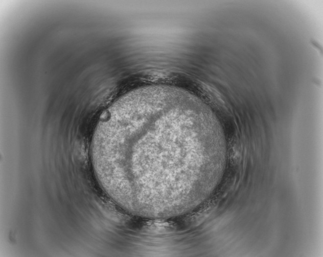 X0000095890607200801251204