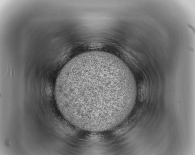 X0000095890608200801251204