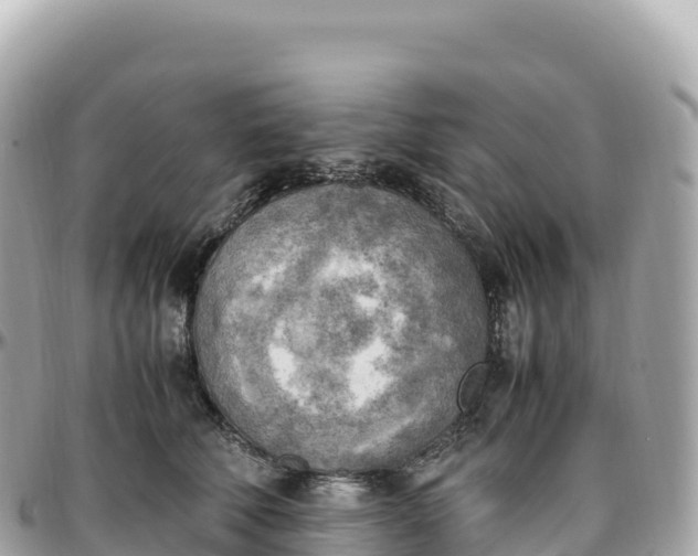 X0000095890610200801251204