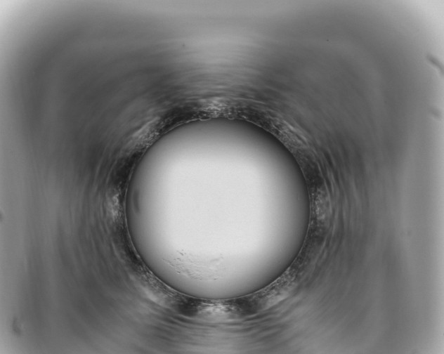 X0000095890611200801251204