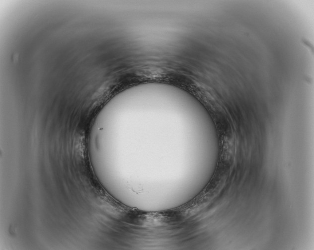 X0000095890612200801251204