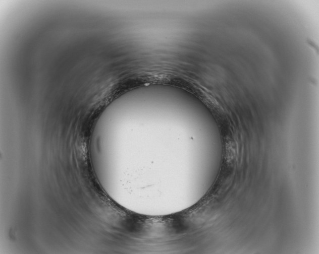 X0000095890613200801251204