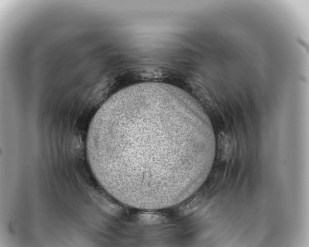 X0000095890614200801251204