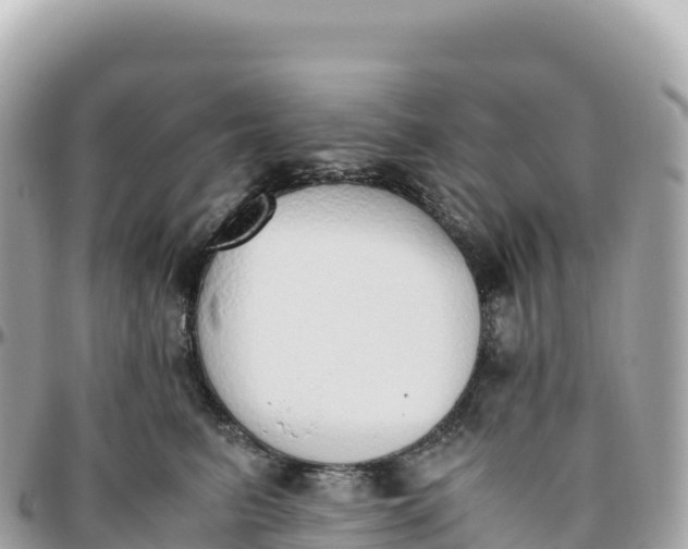 X0000095890615200801251204