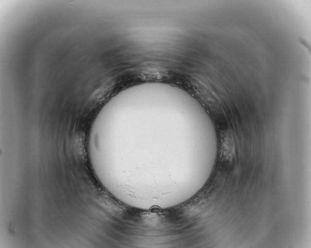 X0000095890616200801251204