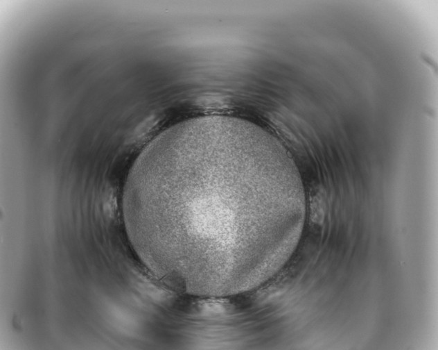 X0000095890618200801251204