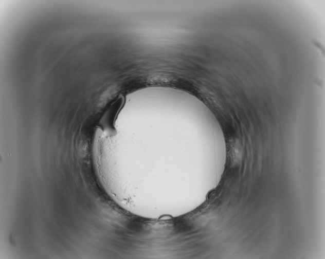 X0000095890619200801251204