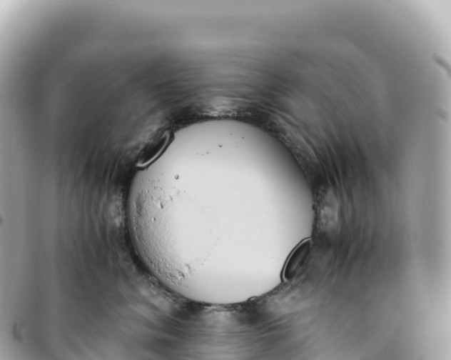 X0000095890620200801251204