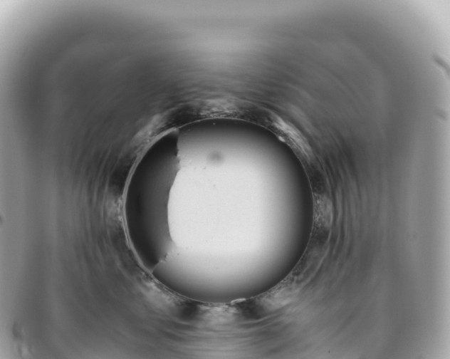 X0000095890621200801251204