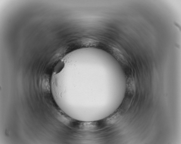 X0000095890622200801251204