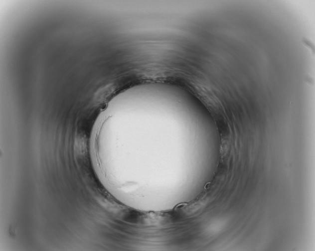 X0000095890623200801251204