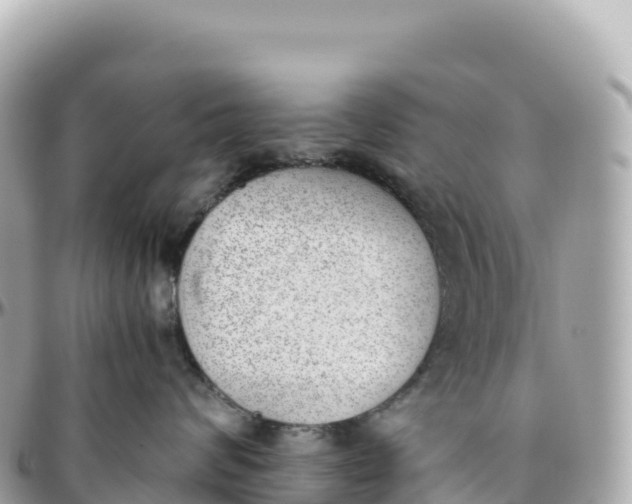 X0000095890624200801251204