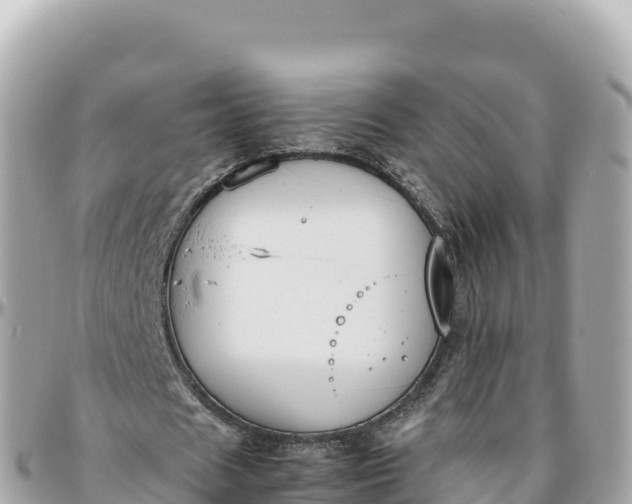 X0000095890625200801251203