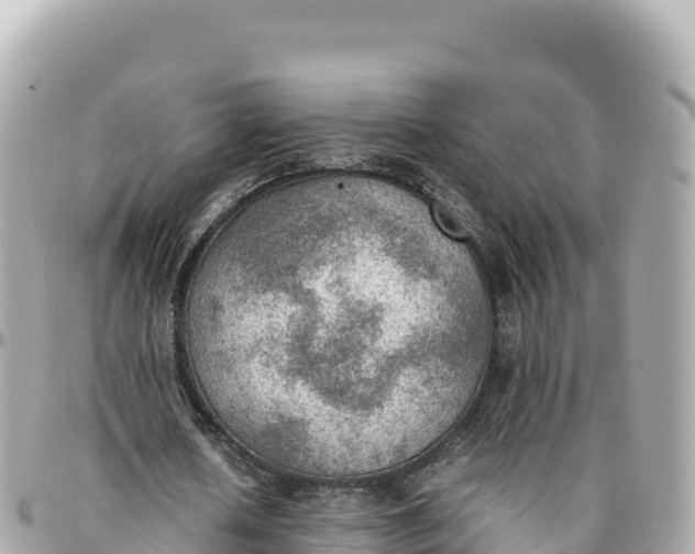 X0000095890626200801251203