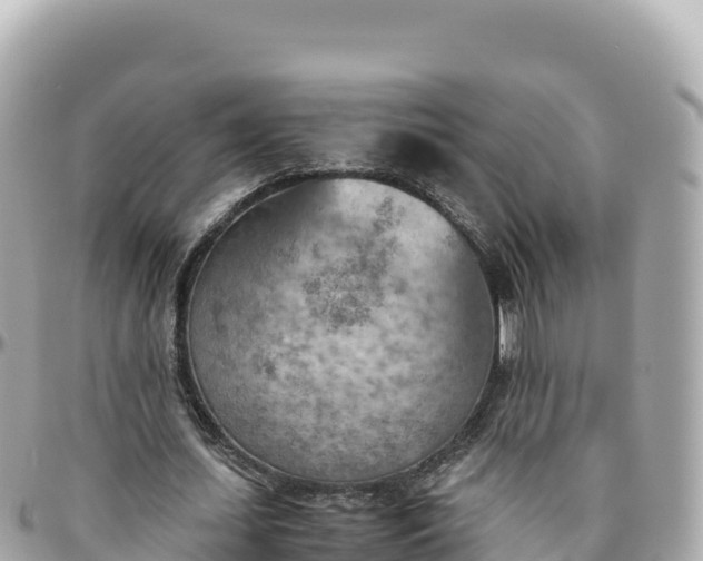 X0000095890627200801251203