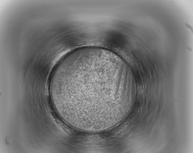 X0000095890628200801251203