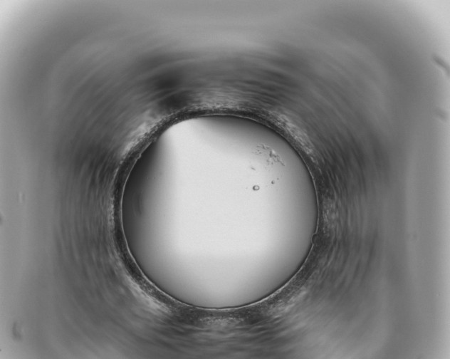 X0000095890629200801251203