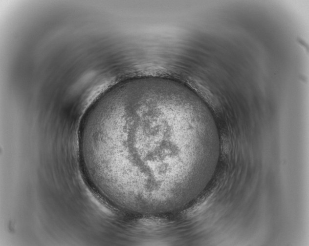 X0000095890630200801251203