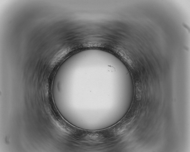 X0000095890631200801251203