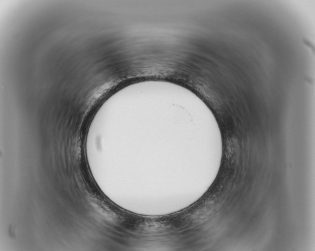 X0000095890632200801251203