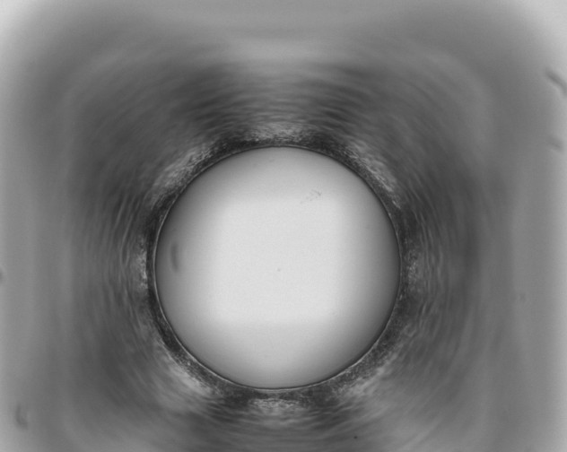 X0000095890633200801251203