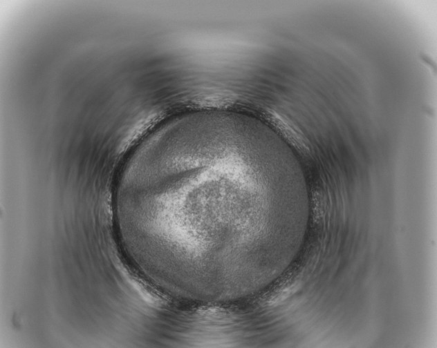 X0000095890634200801251203