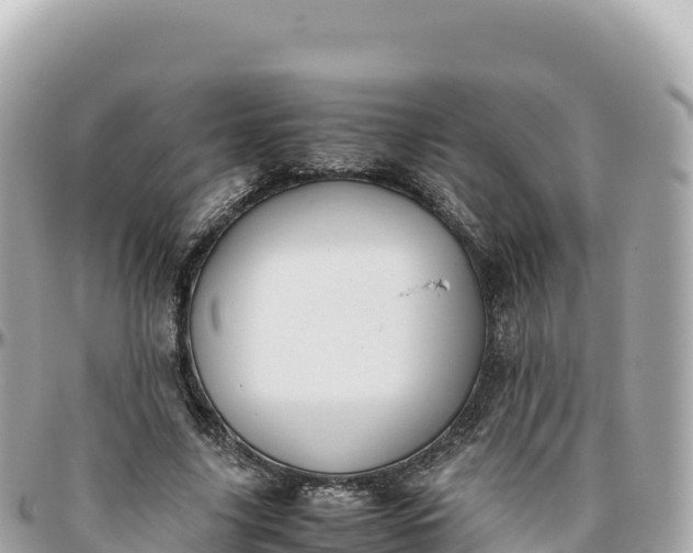 X0000095890635200801251203