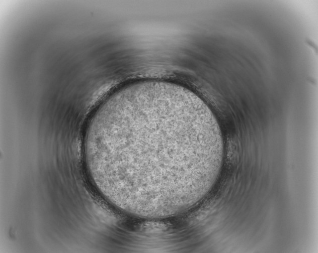 X0000095890636200801251203