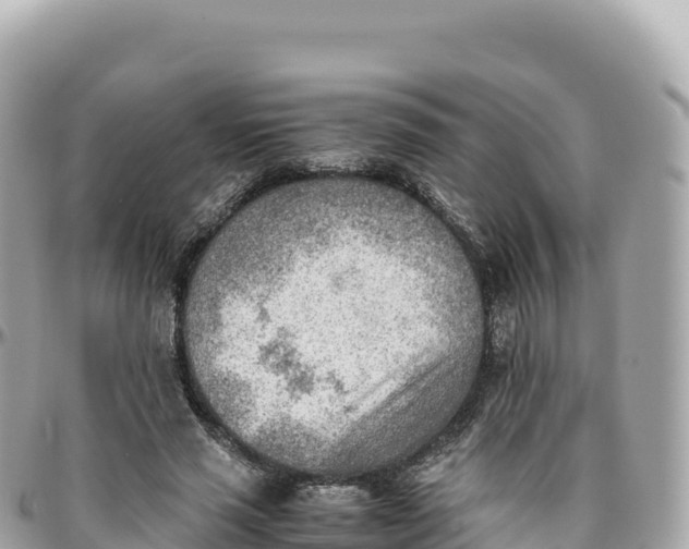 X0000095890637200801251203