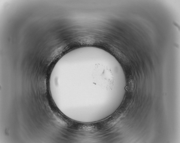 X0000095890638200801251203