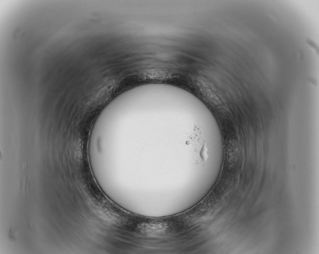 X0000095890639200801251203