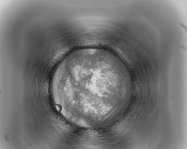 X0000095890640200801251203