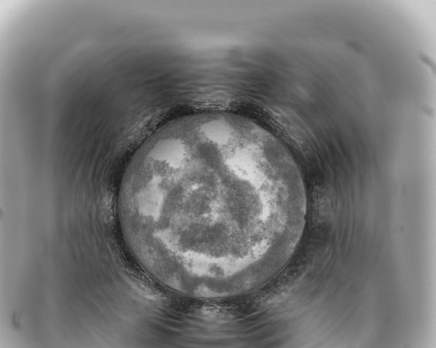 X0000095890641200801251203