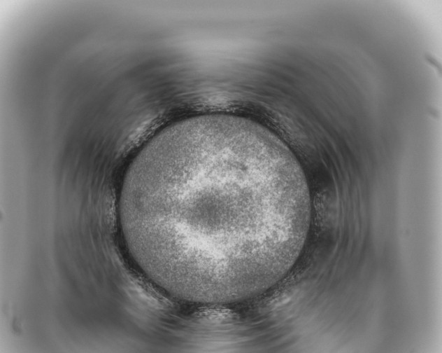 X0000095890642200801251203