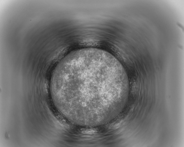 X0000095890643200801251203