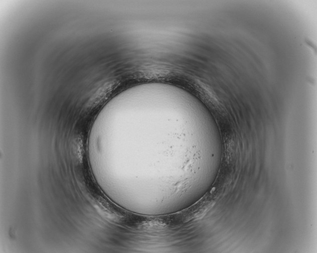 X0000095890644200801251203