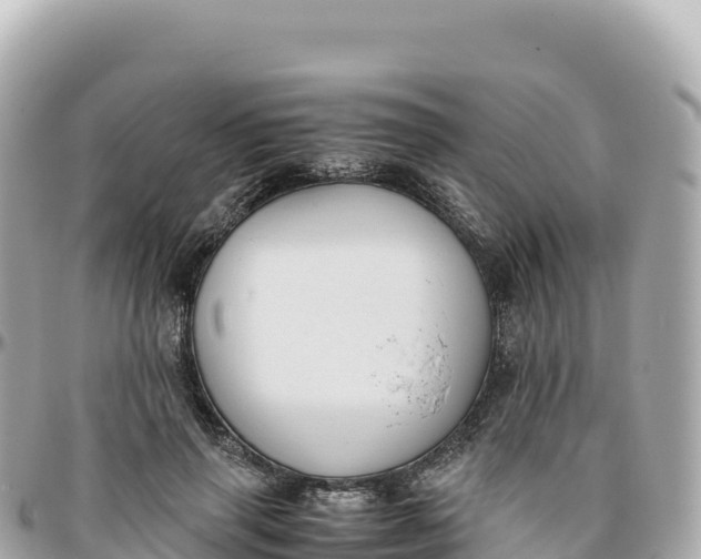 X0000095890645200801251203