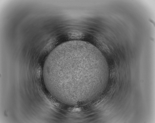 X0000095890647200801251203