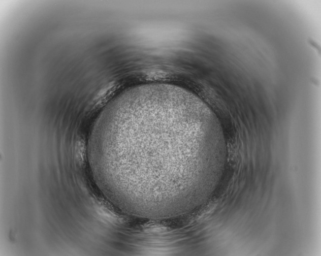 X0000095890648200801251203