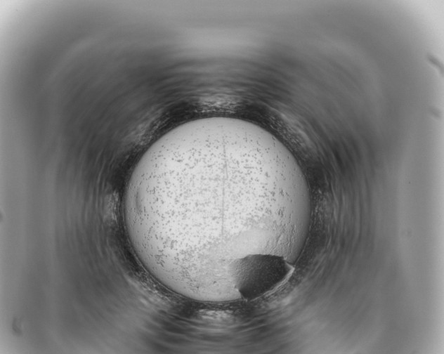 X0000095890649200801251203