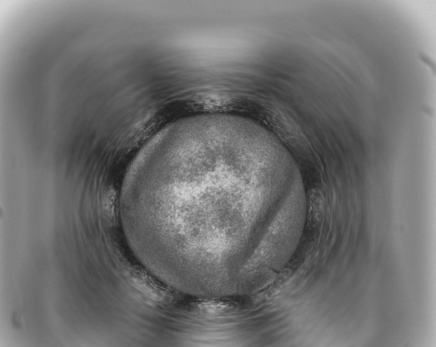 X0000095890650200801251203