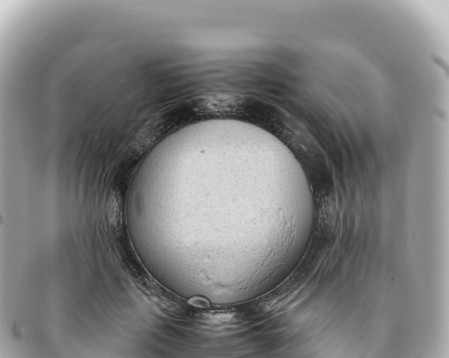 X0000095890651200801251203