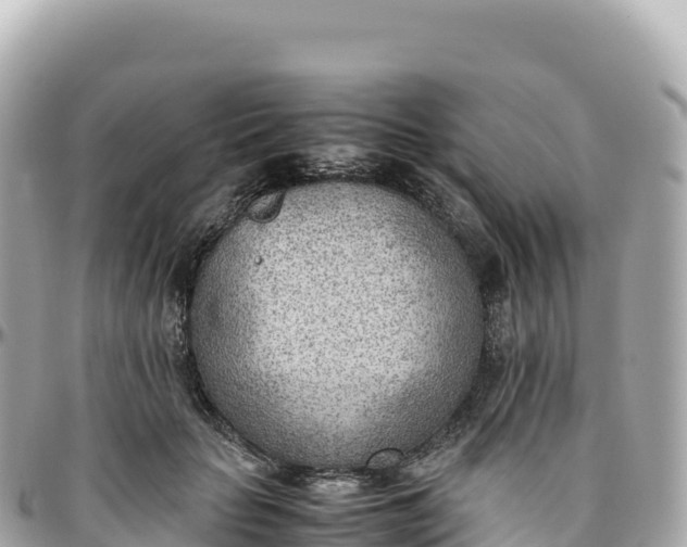 X0000095890653200801251203